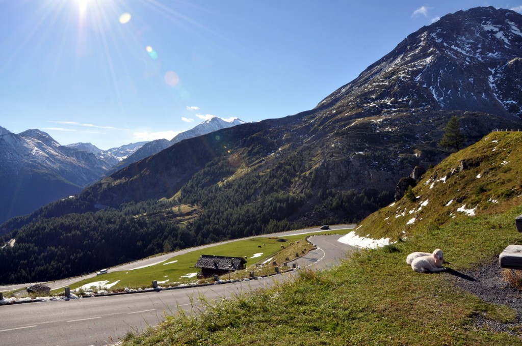 The Grossglockner High Alpine Road is an absolutely stunning toll road through some of the highest mountains in the Austrian Alps.  
